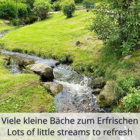 Auszeit Apartment Black Forest Schonach im Schwarzwald Ngoại thất bức ảnh