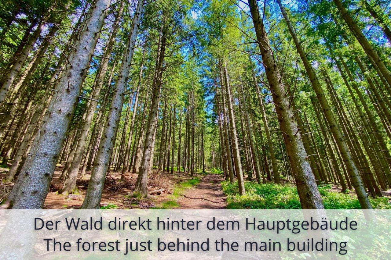 Auszeit Apartment Black Forest Schonach im Schwarzwald Ngoại thất bức ảnh