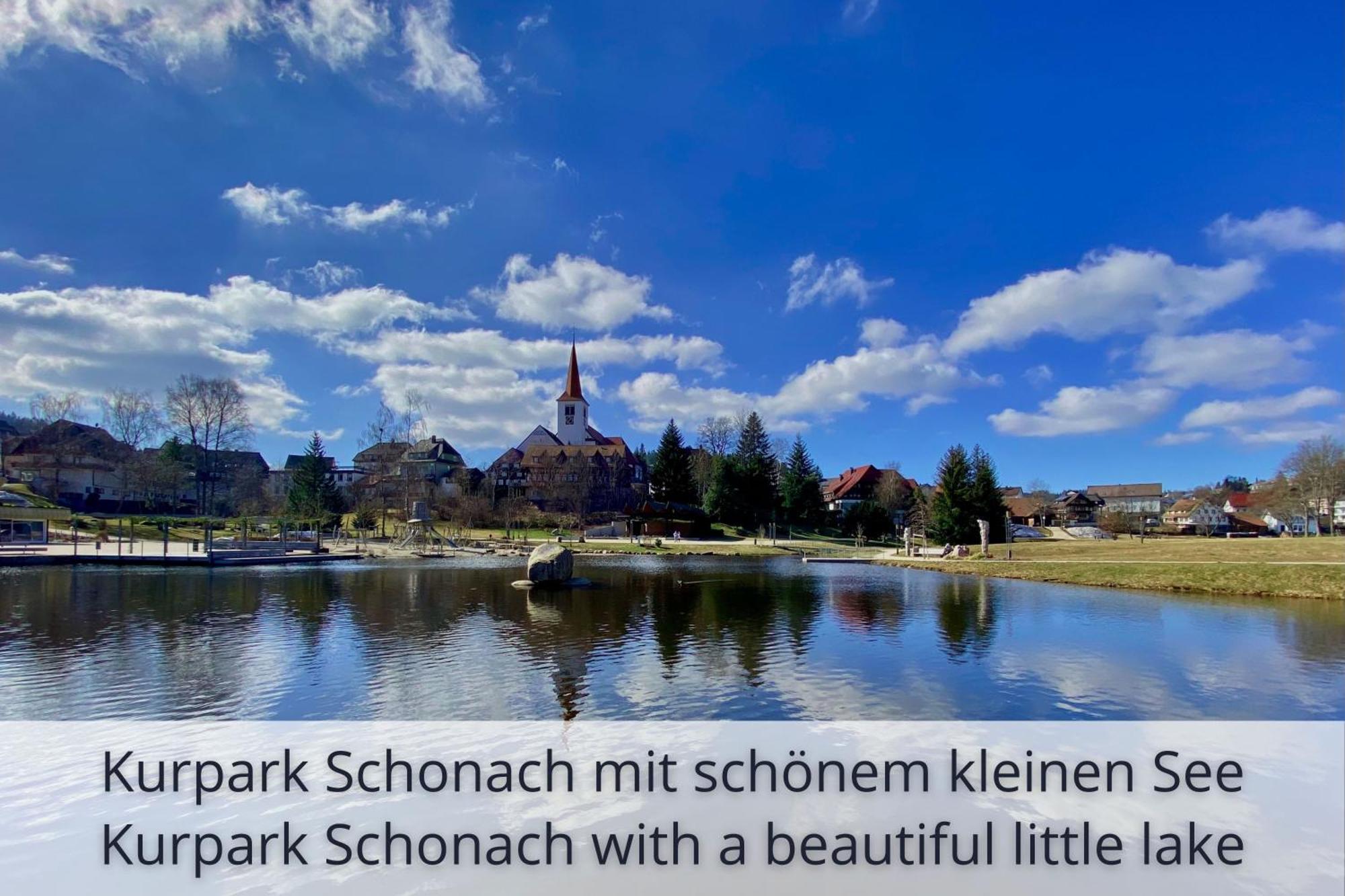 Auszeit Apartment Black Forest Schonach im Schwarzwald Ngoại thất bức ảnh