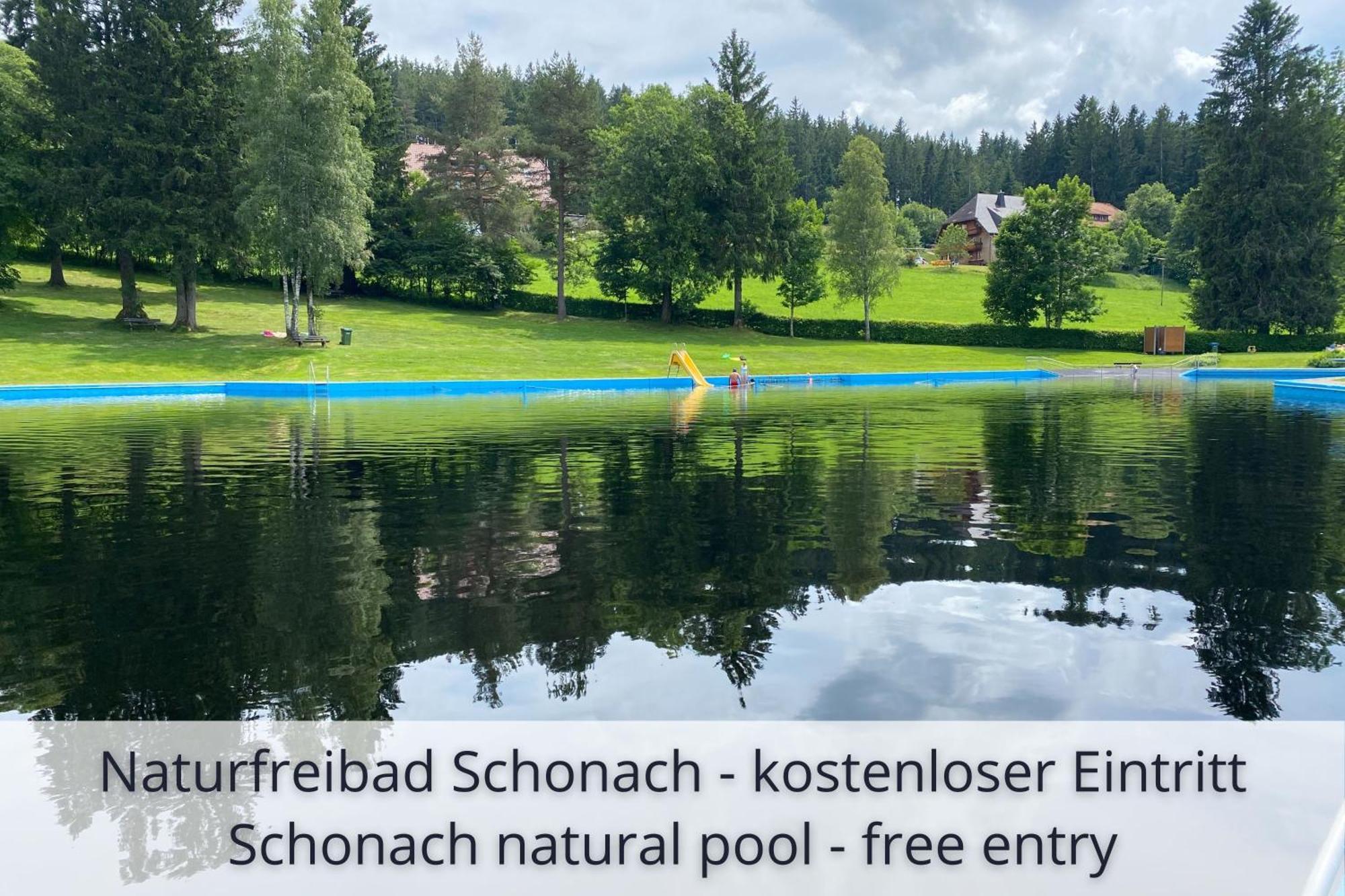 Auszeit Apartment Black Forest Schonach im Schwarzwald Ngoại thất bức ảnh