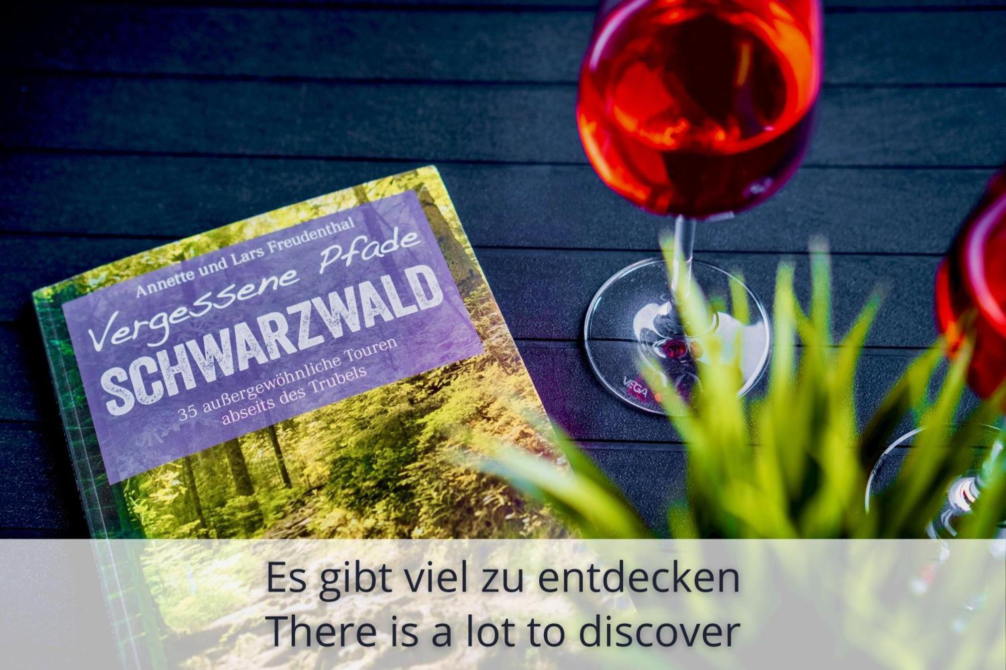 Auszeit Apartment Black Forest Schonach im Schwarzwald Ngoại thất bức ảnh