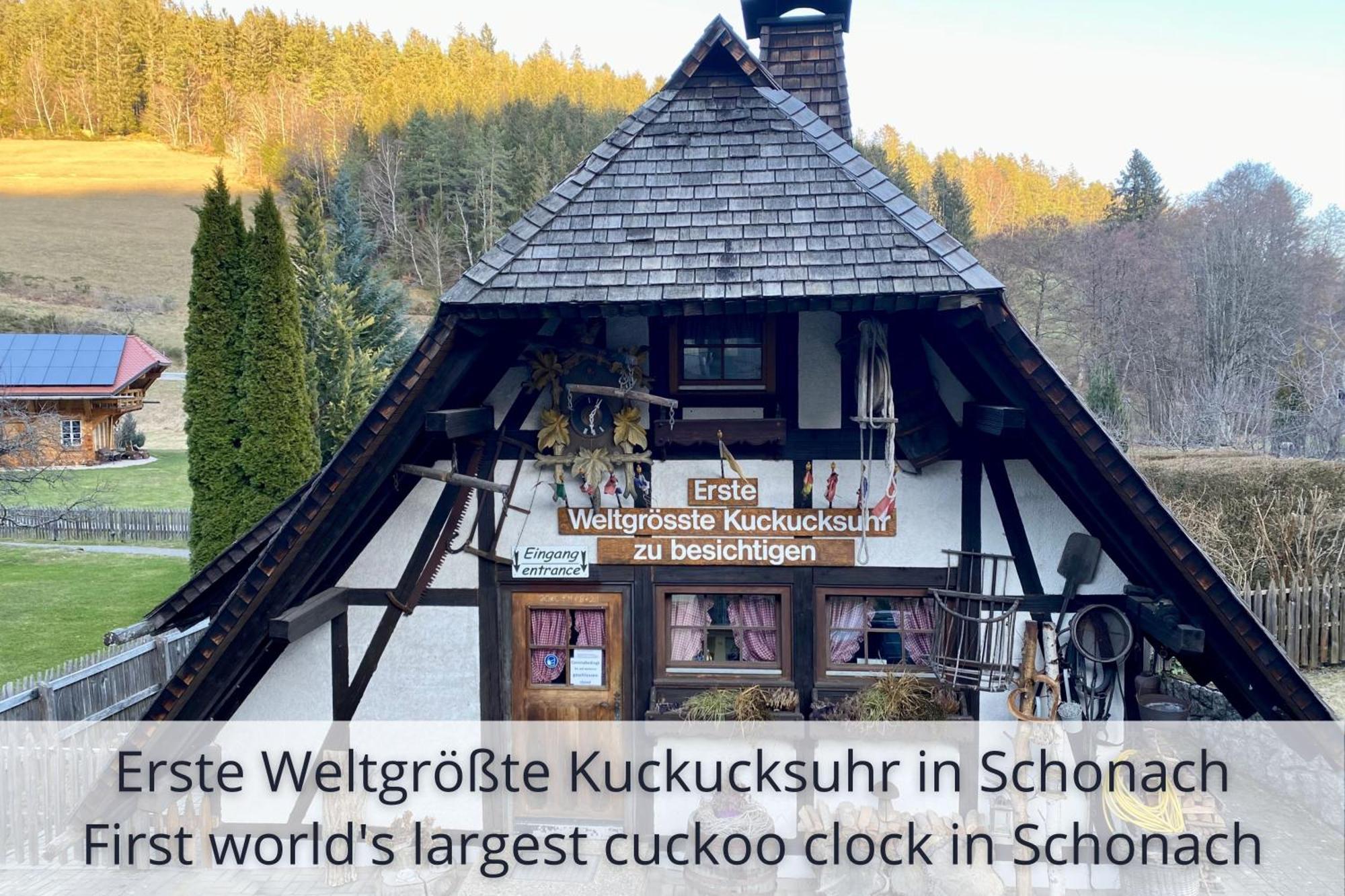 Auszeit Apartment Black Forest Schonach im Schwarzwald Ngoại thất bức ảnh