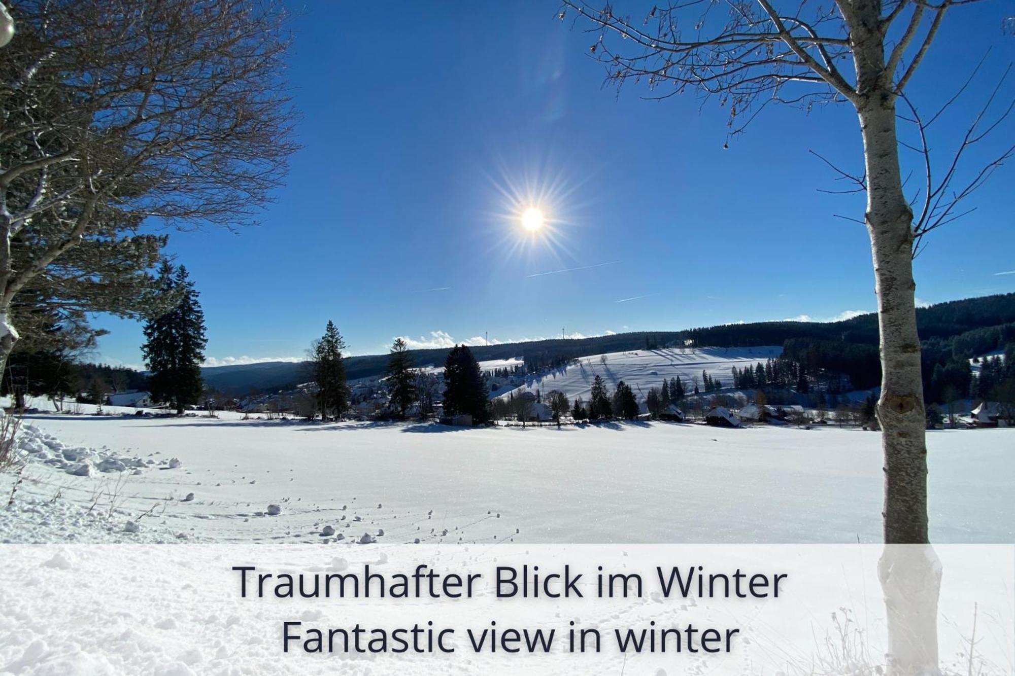 Auszeit Apartment Black Forest Schonach im Schwarzwald Ngoại thất bức ảnh